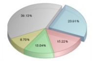 Pie charts