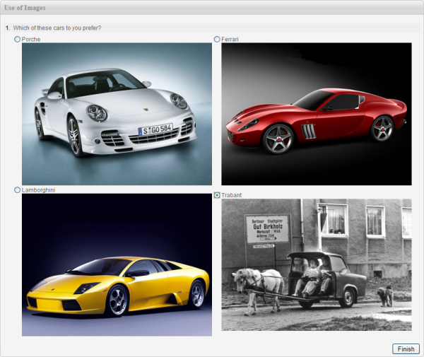 Images in surveys