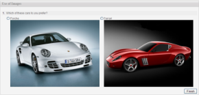 Images in surveys