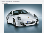 Survey with images sample